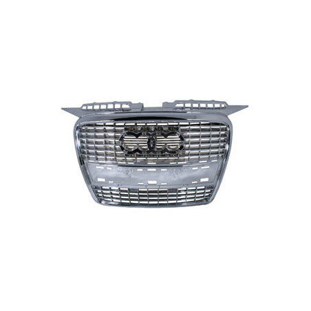 Matt silver grille Audi A4 B6 Look RS 00-04