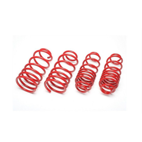 Ford Sierra XR4x4 short springs -40/40mm EVOFO124F EVOFO124F 149,90 €