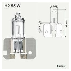 Ampoule H2 12V 55W