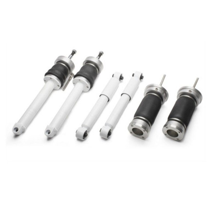 Kit Suspension pneumatique Réglable en Hauteur Smart Fotwo Type 450