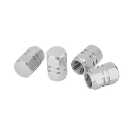 Aluminum Valve Caps 5 pieces Alu color VALVES/ALU VALVES/ALU 3,90 €