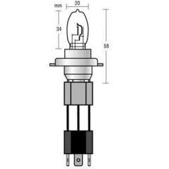 2 H4 24V 90/100W Xenium-race 98297 Glühbirnen