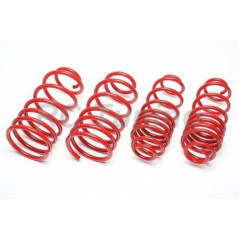 Lowering spring kit for Tesla Model 3 Standard Range + SR Plus + Mid Range 30/30mm