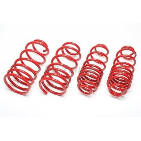 Lowering spring kit for Tesla Model 3 Standard Range + SR Plus + Mid Range 30/30mm EVOTE005F EVOTE005F 249,90 €